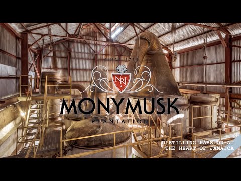 The Museum Of Rum Distillation - Clarendon Distillery (Ep.02)