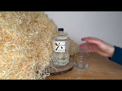 Roku Gin - jak chutná pravý japonský gin